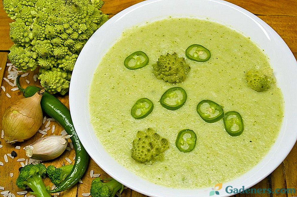 Lean brokolice a romanesco krémová polévka