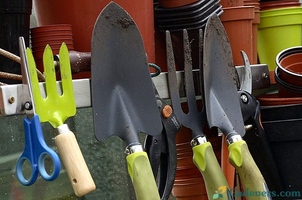 Pravi pristop k izbiri orodij za delo na vašem vrtu