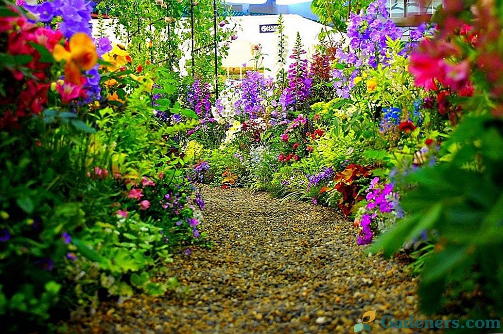 Pješačka zona - cvjetni vrt s ljuljačkom i zavojitim stazama