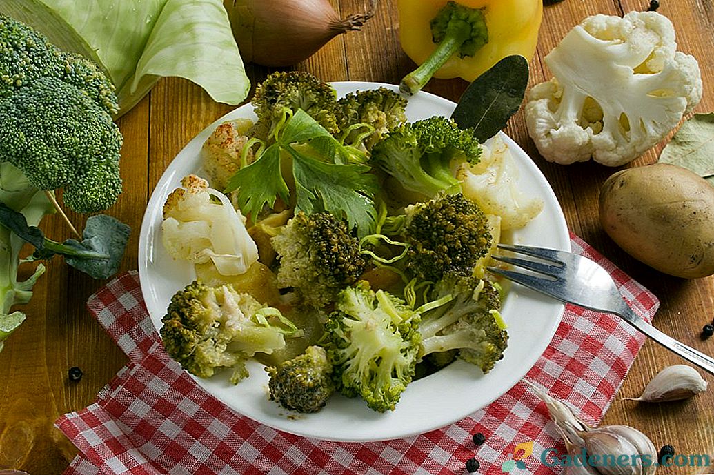 Vištienos brokolių troškinys