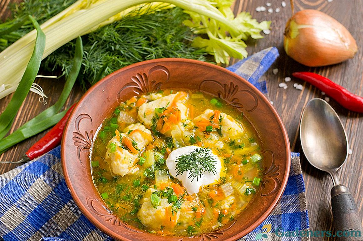 Рибний суп з картопляними галушками