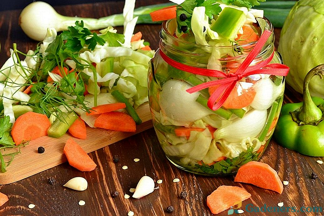 Salata ukiseljenog povrća za zimu