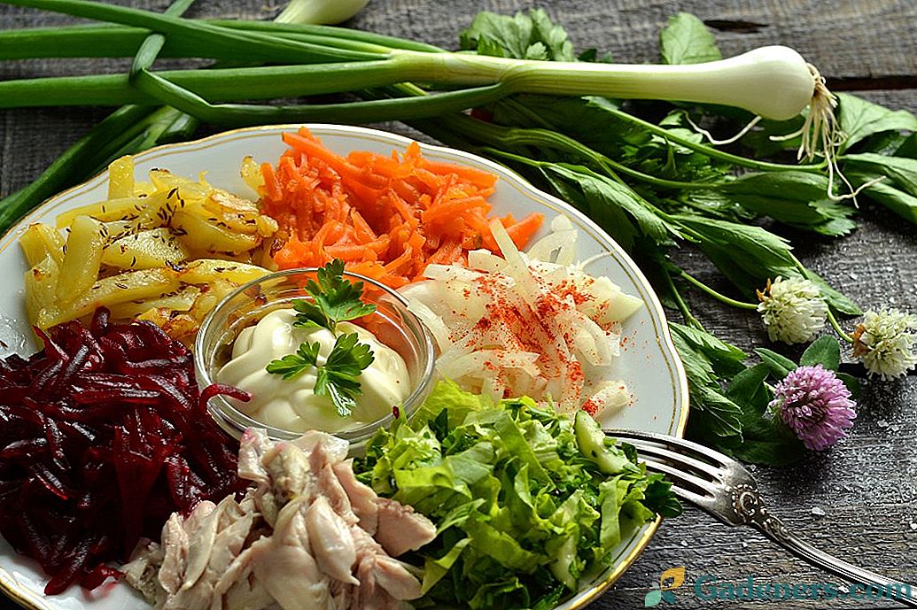 Daržovių salotos su mėsa 