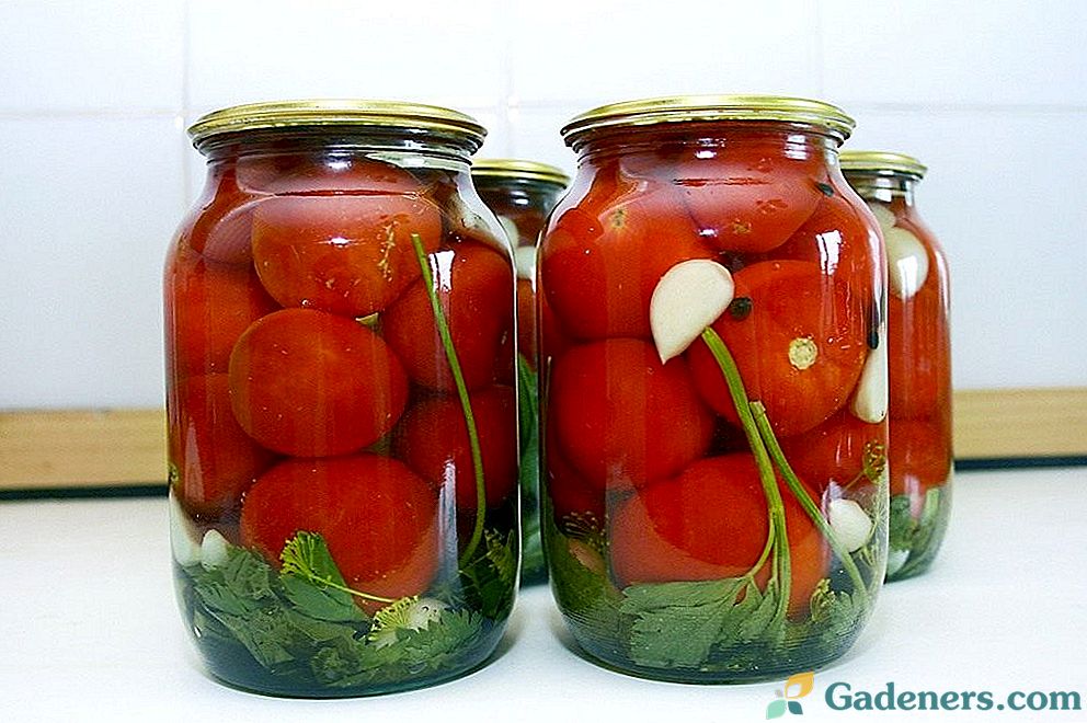 Geriausi marinuoti pomidorai