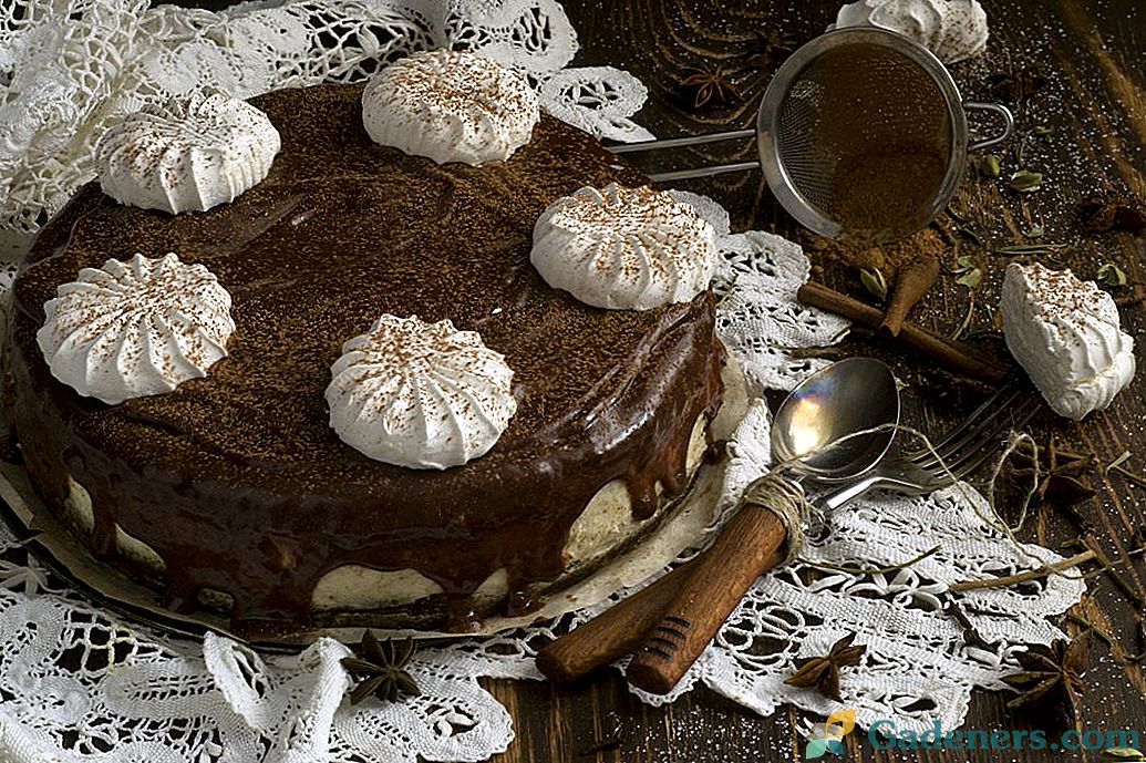 Čokoládový dort Marshmallow