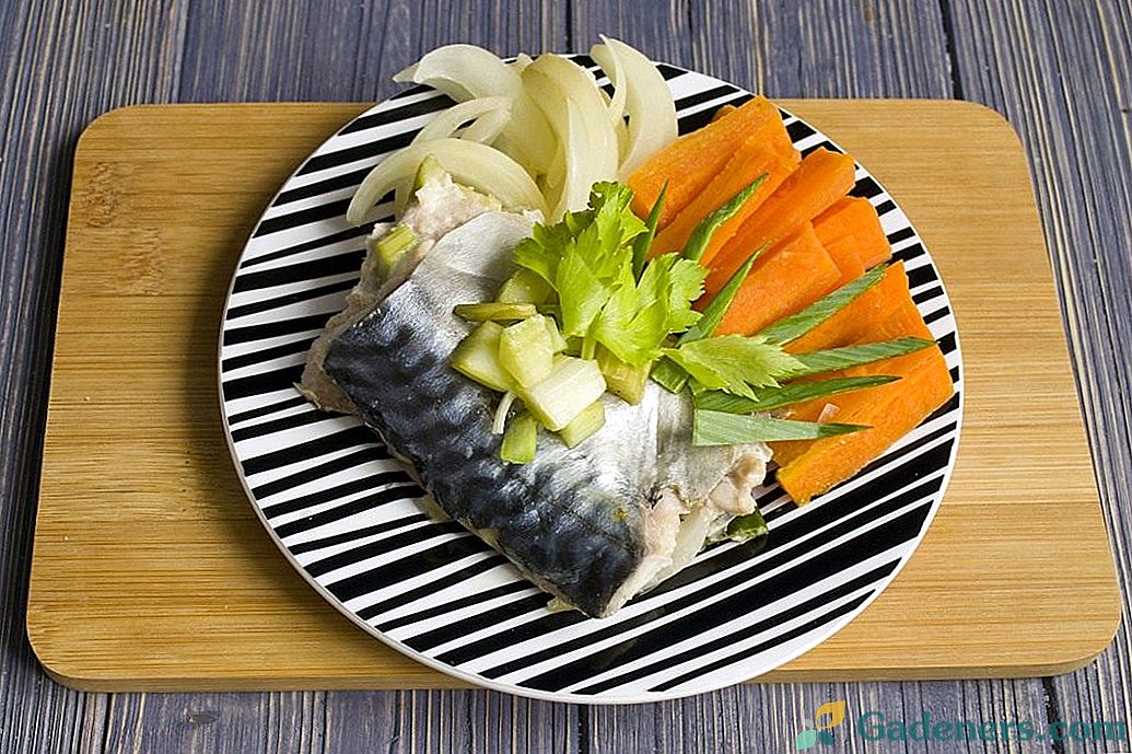 Makrela ve fólii, vařená se zeleninou