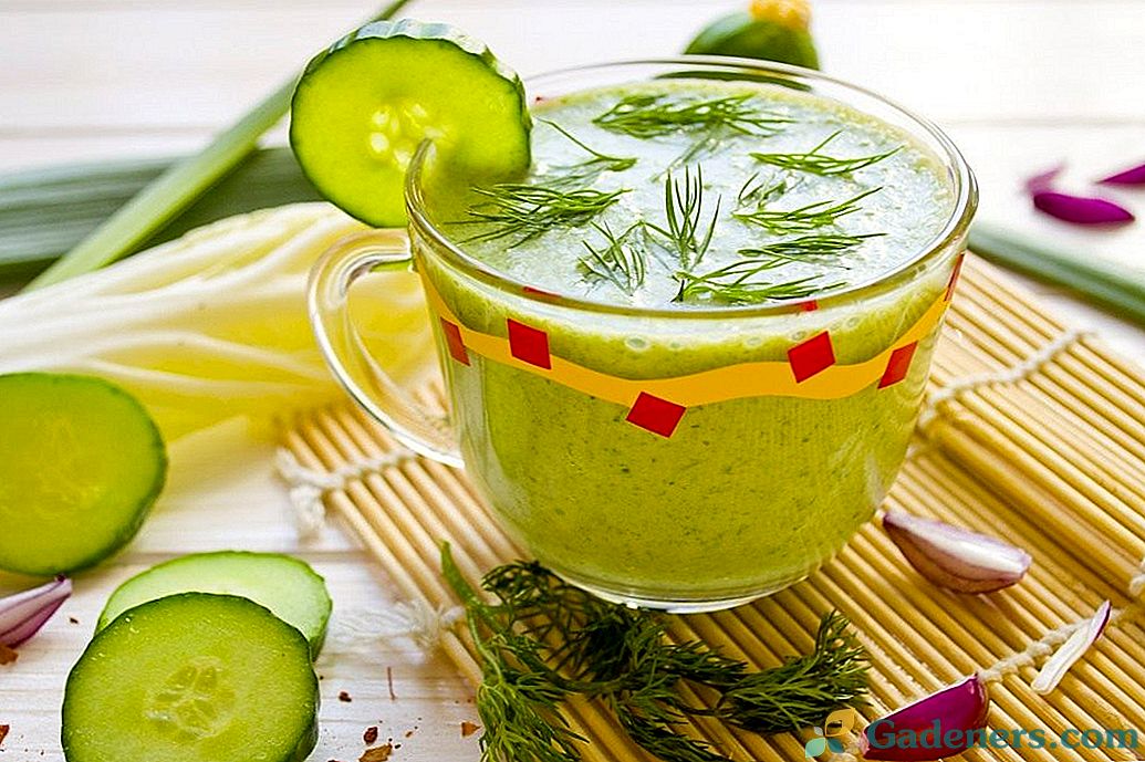 Cucumber a Spinach Smoothies