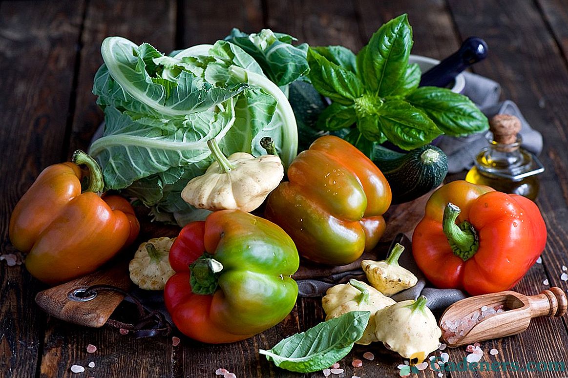 Tipy na sklizeň pro získání nejčerstvější zeleniny
