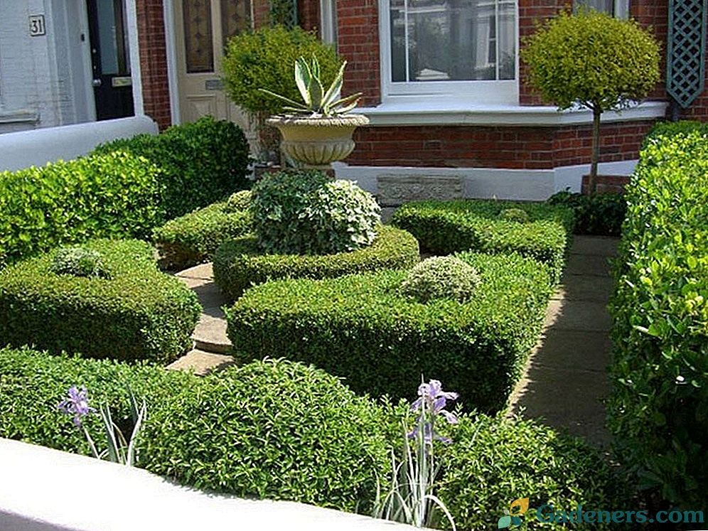 Бароков стил в дизайна на градината