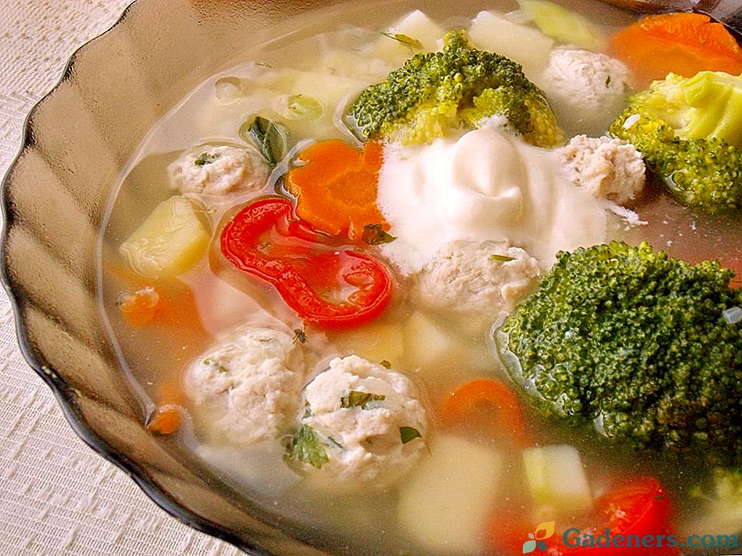 Brokoliai ir mėsos sriuba