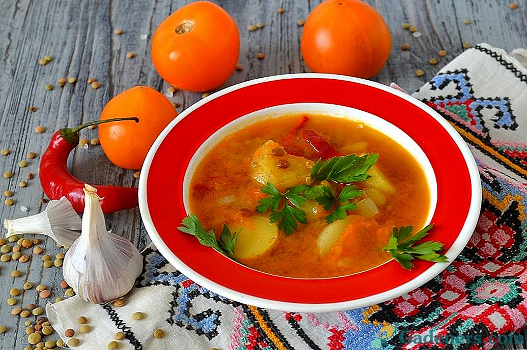 Lenticena juha s žutim rajčicama i krumpirom