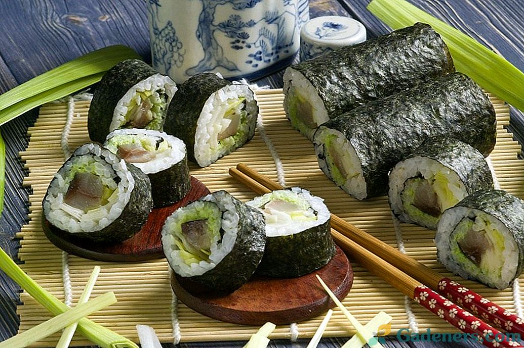 Sushi Maki s prekajeno jeguljo in porcijo