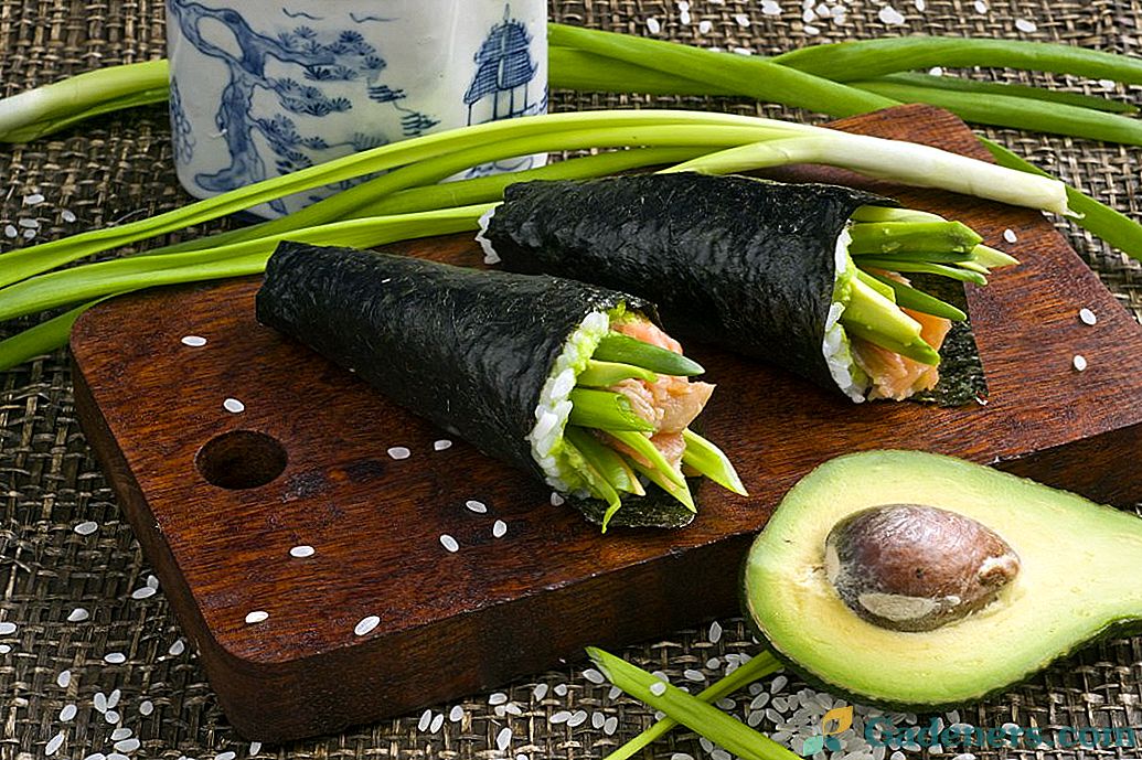 Temaki sushi s avokádom a pstruhy