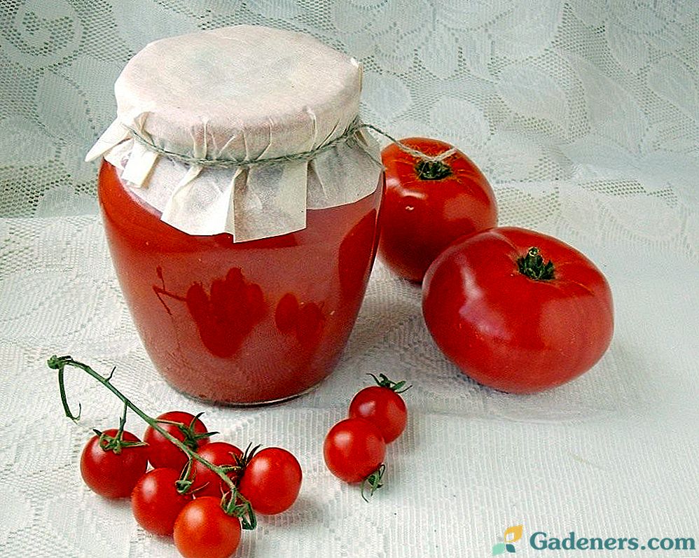 Pomidory w ich własnym soku