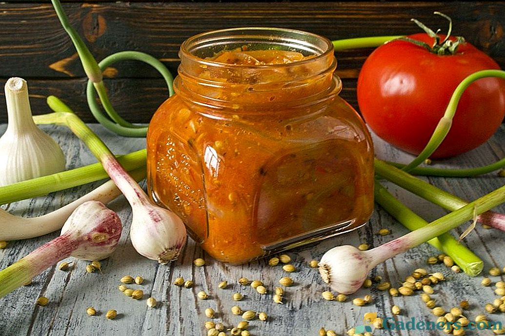 Tomato Casundi - indijska paradižnikova omaka