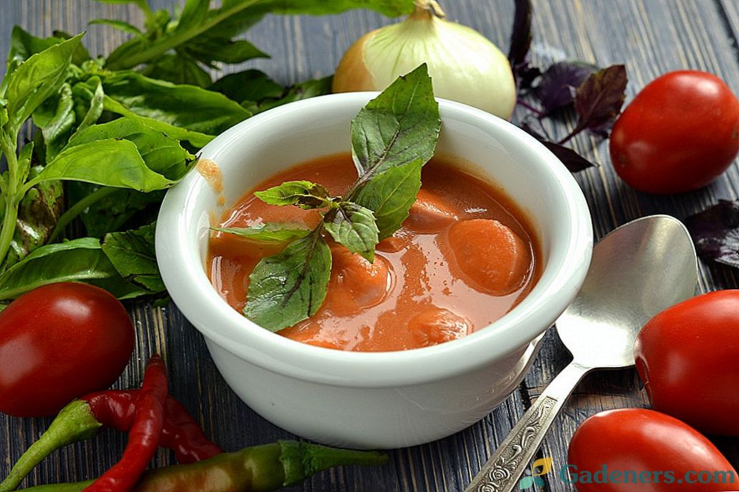 Dešrelės pomidorų sriuba