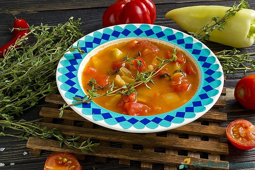 Rajčatová polévka s paprikou a tymiánem