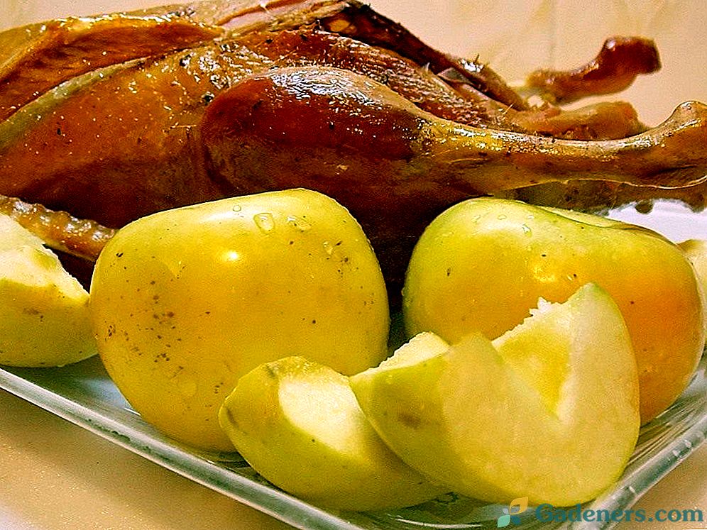 Утка с яблоками в рукаве в духовке пошаговый рецепт с фото