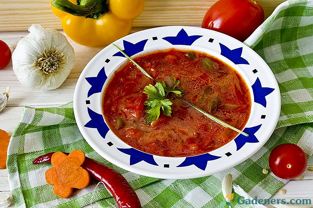 Вегетаријански борсх - цвекла супа
