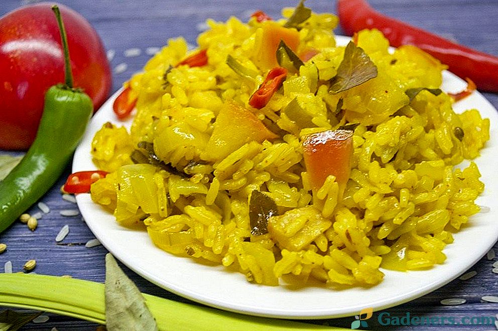 Vegetarijanska riža curry s jabukama