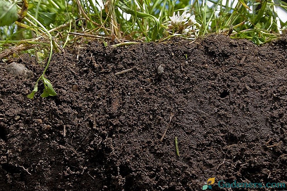 Видове почви, техните характеристики и начини за подобряване