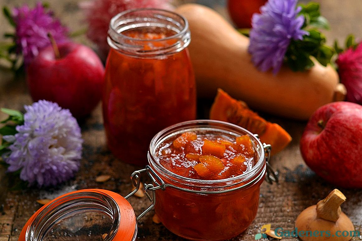 Jablkový džem s tekvicou - sladká chuť jeseň