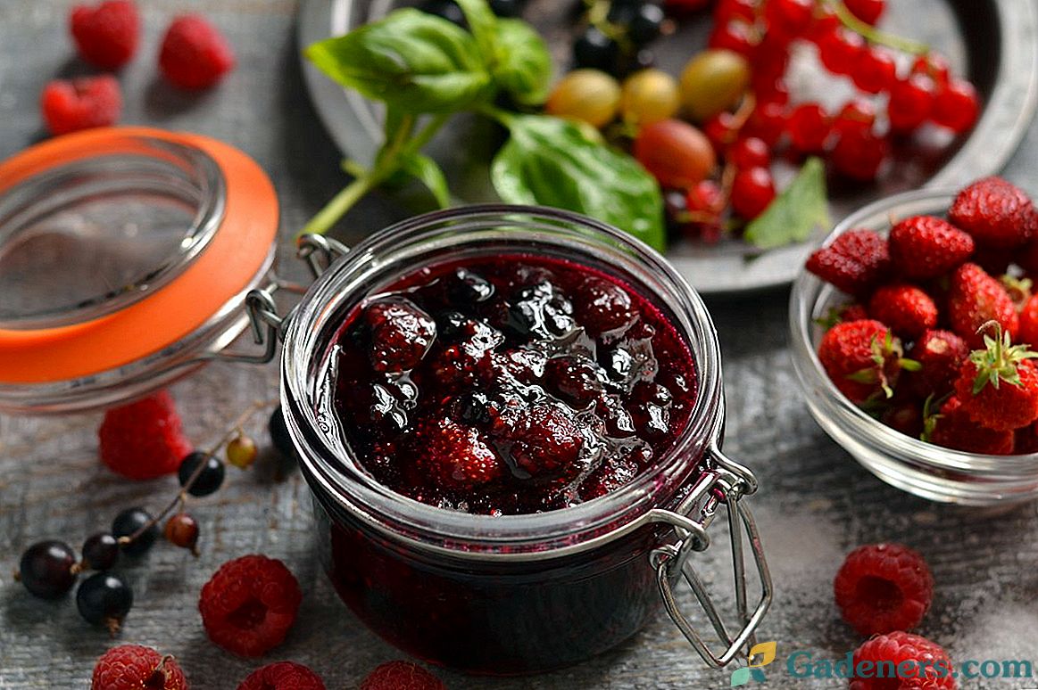 Assorted Berry jam - okus ljetnog vrta