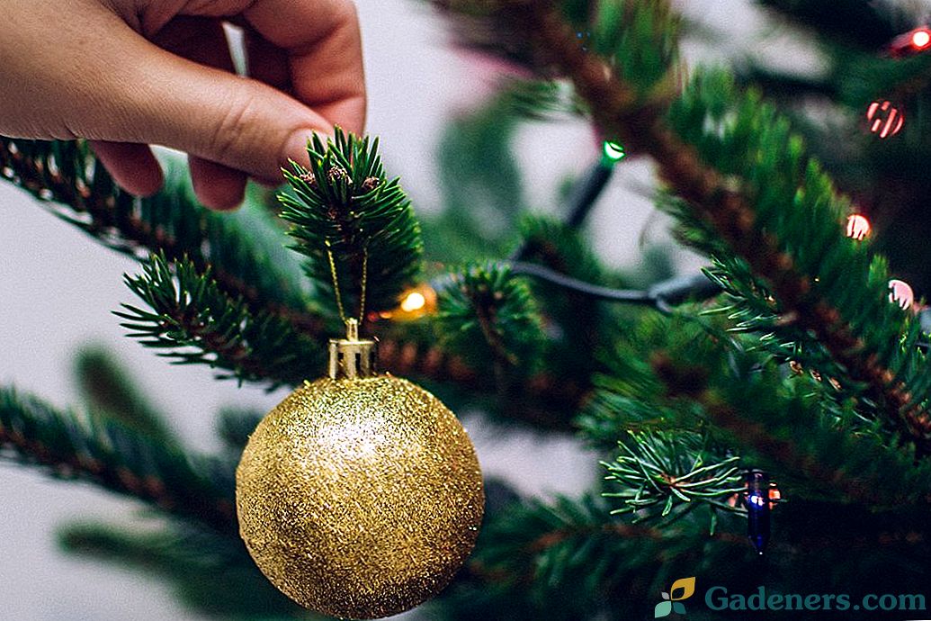 Božićno drvce - kako spasiti igle?