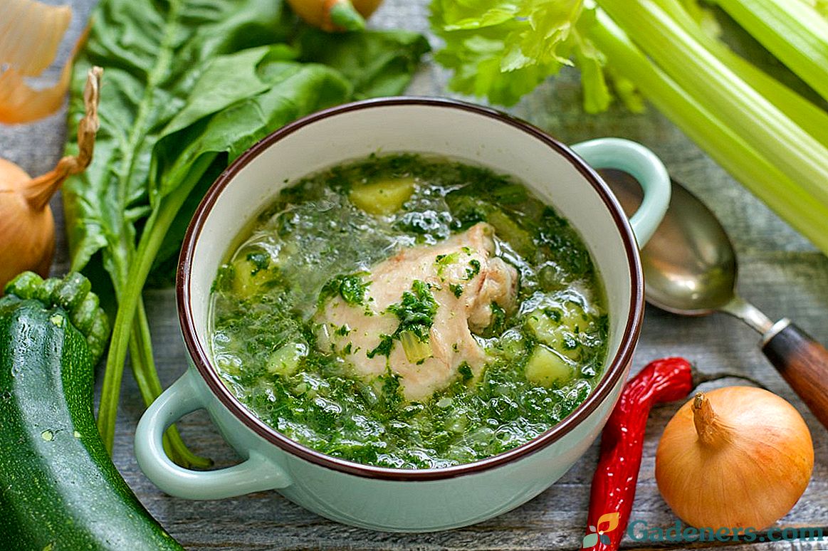 Zelená špenátová polievka