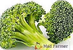 Najobľúbenejšie odrody brokolice