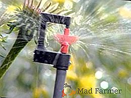 Riego por goteo para invernaderos: sistemas de riego automáticos, esquemas de riego, equipos y dispositivos