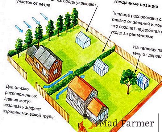 Как правильно расположить теплицу на участке по сторонам света схема