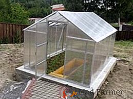 Zariadenie skleníku z polykarbonátu: základ pre skleníky na rukách