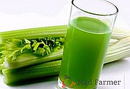 Primjena i uporaba celera, koristi i štete