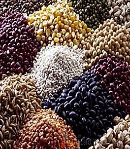 Основни видове зърнени култури