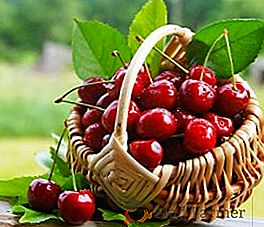 Cherry: описание и снимки на средно узряване сортове