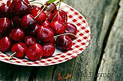 Descrição e fotos de variedades de cerejas de frutos grandes