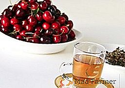Чај од листова вишње: када се сакупља, како се осуши и како чај