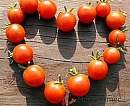 Najlepšie odrody cherry paradajok