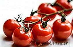 Aké sú výhody cherry paradajok?