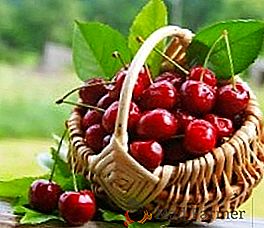 Cherry odrôd pre región Moskvy