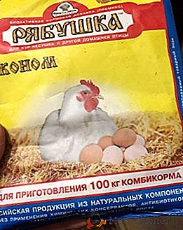 Kako dati "Ryabushka" kokošam