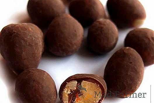 Полтавський шоколад виявився зовсім «не шоколадом"