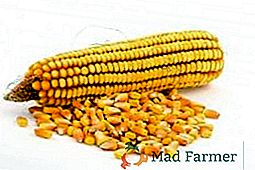 Bezstratové skladovanie kukurice