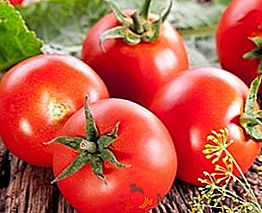 El tomate es una baya, una fruta o un vegetal, entendemos la confusión