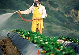 Clasificación de pesticidas