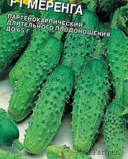 Краставица Merenga: описание и култивиране