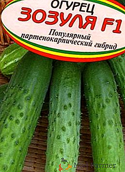Краставица "Zozulya": описание на сорта и agrotechnics на отглеждане