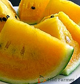Gojenje in značilnosti rumenega lubenica