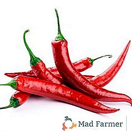 Vlastnosti výsadby a starostlivosti o horkú papriku vo vašej záhrade